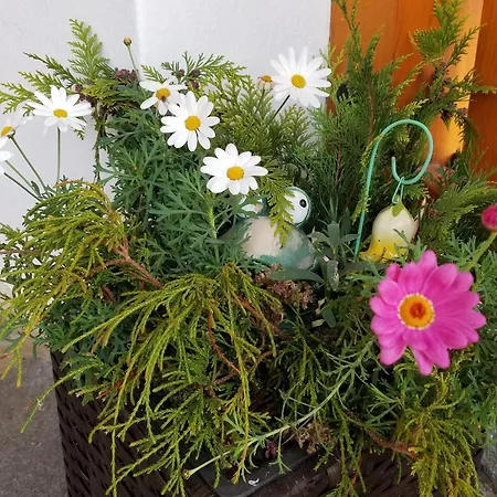 Trippolthof Apartamento