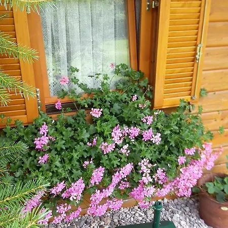 Trippolthof